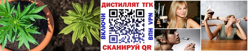 ТГК вейп с тгк  omg маркетплейс  Протвино  как найти  